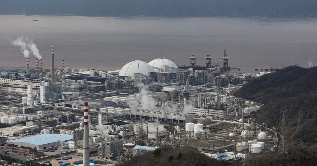 avatar1776825010033 1776825010382230936403 101 0 729 1200 crop 17768250355181341079499