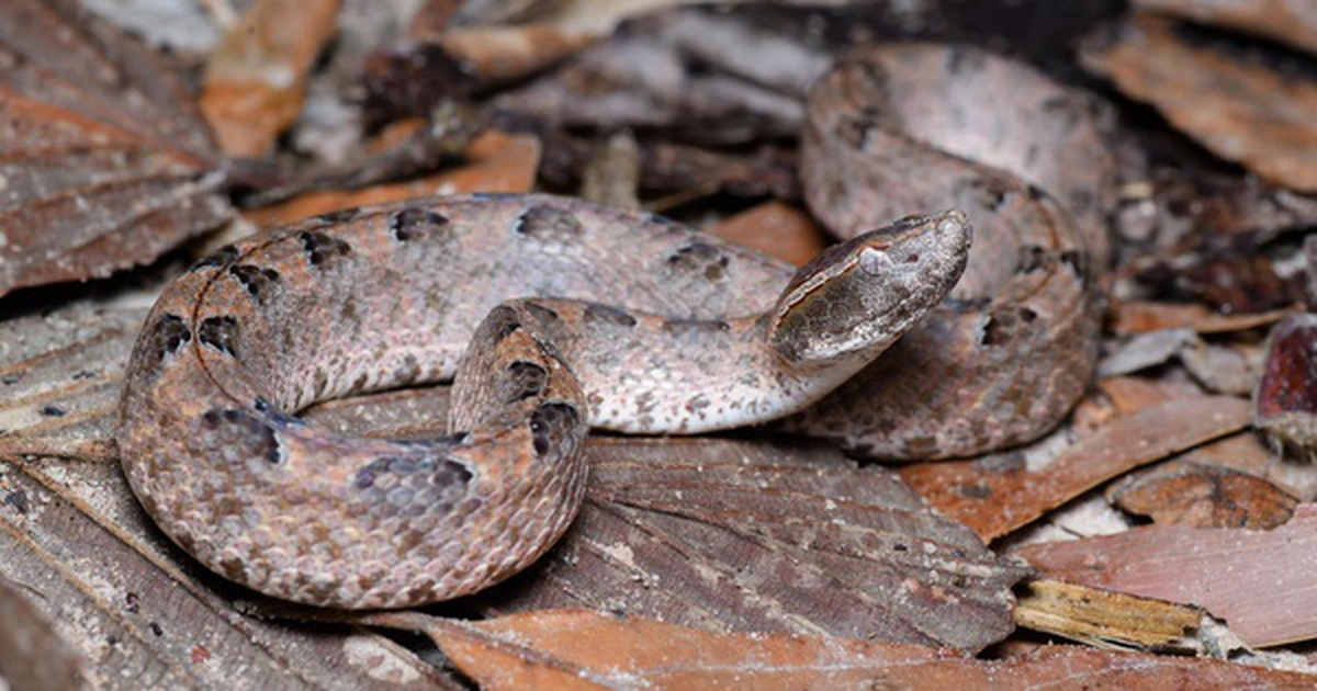 avatar1776826593598 17768265941331880677596