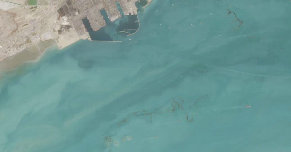 avatar1776846848273 1776846848556695663572 0 0 628 1200 crop 17768468703561621279682