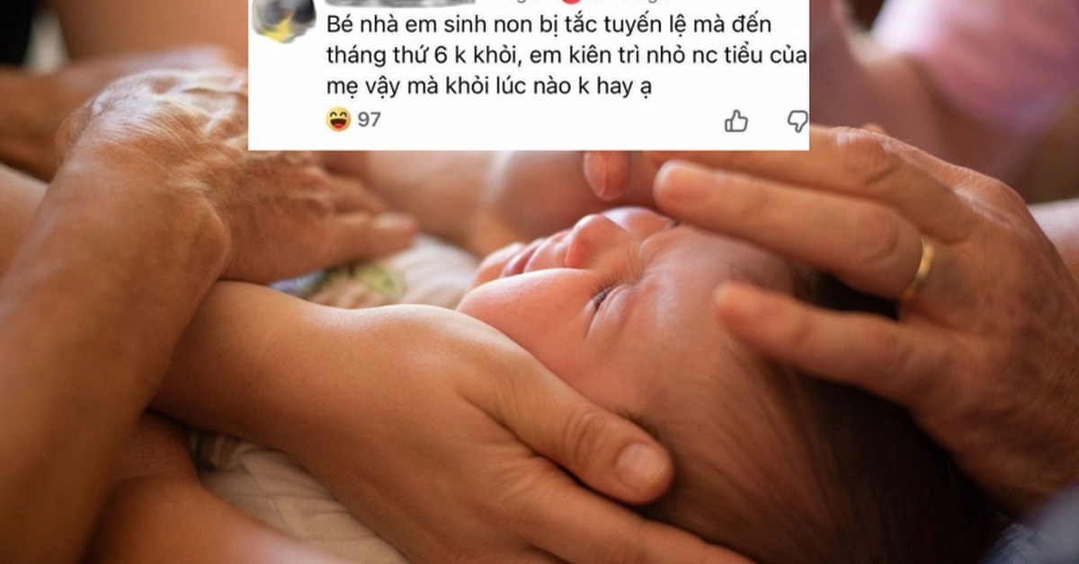 avatar1776850559175 1776850559687105447374