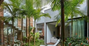 avatar1776865692488 17768656928806649450 0 0 313 598 crop 17768657073811432366824