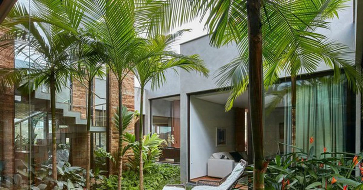 avatar1776865692488 17768656928806649450 0 0 313 598 crop 17768657073811432366824