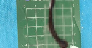 avatar1776904867872 17769048685871046345615