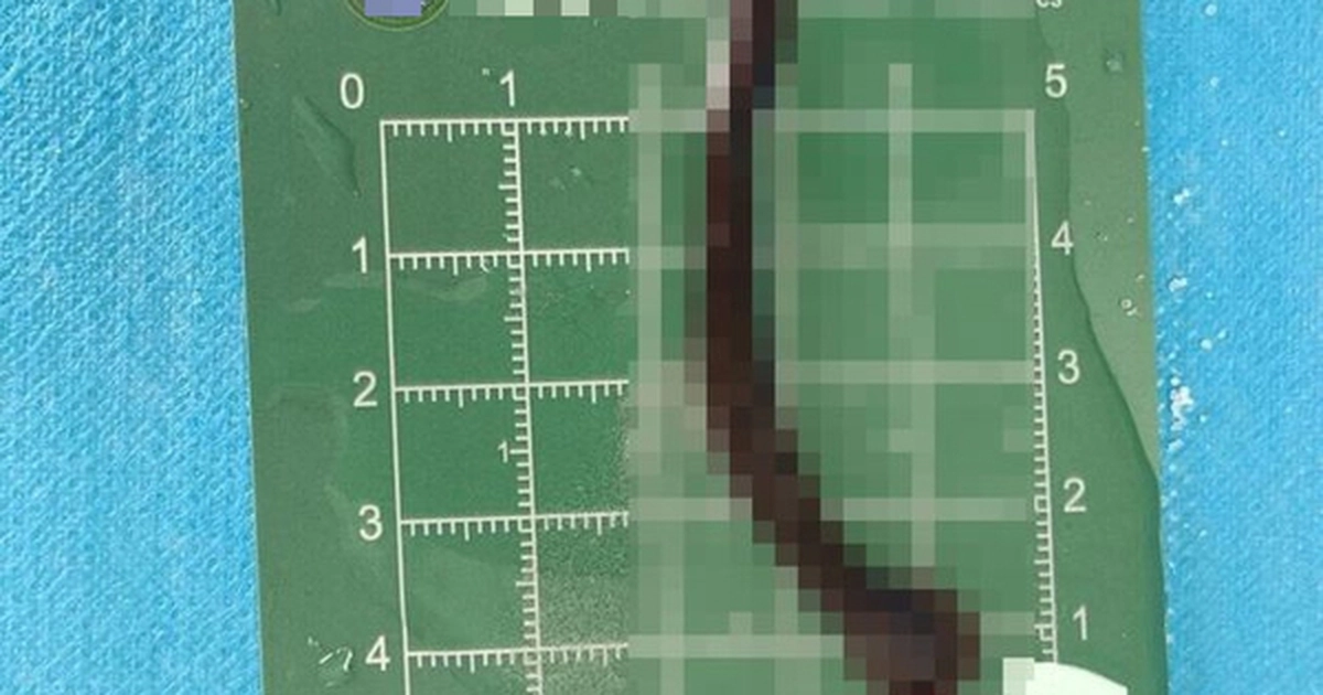 avatar1776904867872 17769048685871046345615