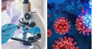 avatar1776916347860 17769163481981469706673