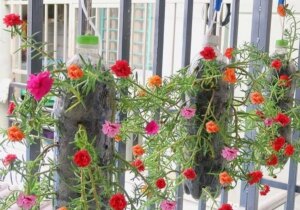 avatar1776918618786 1776918619742688373398