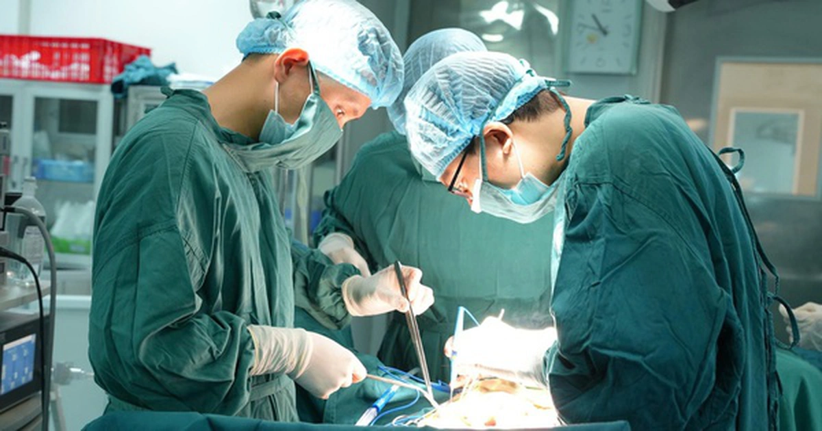 avatar1776999480775 17769994810482036832925