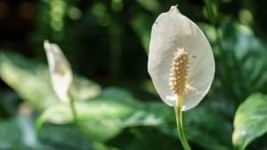 avatar1777016104707 1777016110196325727690