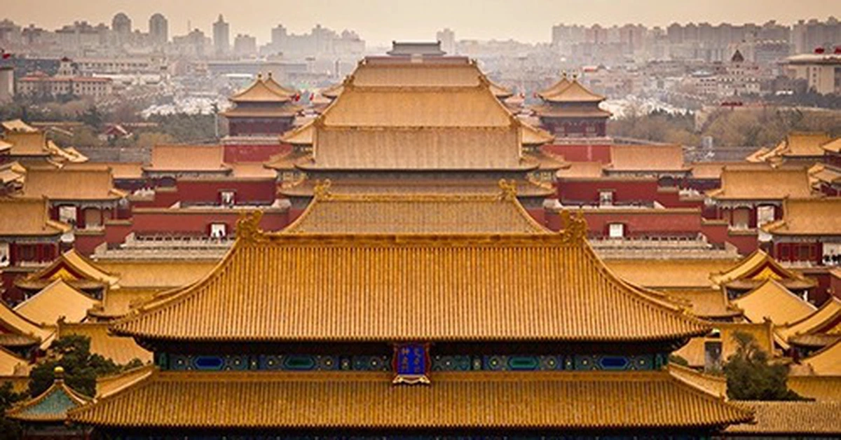 avatar1777020838422 17770208386219934095 0 0 261 499 crop 1777020874872241961423