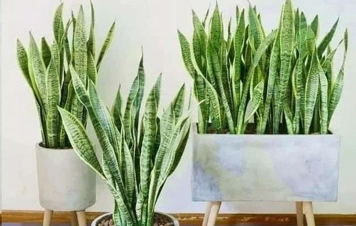 avatar1777075005374 17770750059202010370504