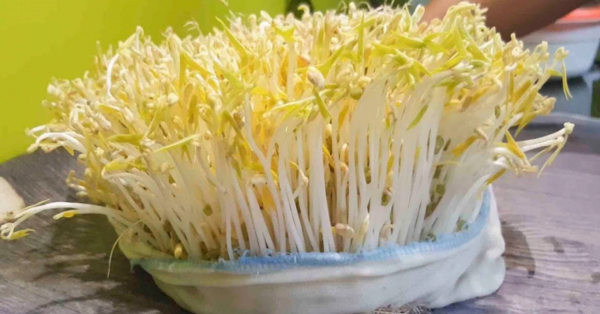 avatar1777075068883 1777075070067913409577