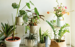 avatar1777079375777 17770793761361811212660