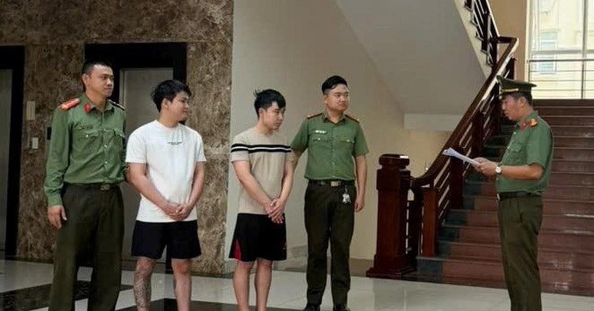 avatar1777082571524 1777082571806462153511 113 0 460 662 crop 17770825944391412710398