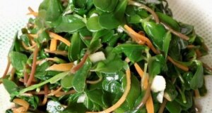 avatar1777106654662 17771066550282140558542