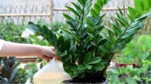 avatar1777123327002 17771233272562092544418