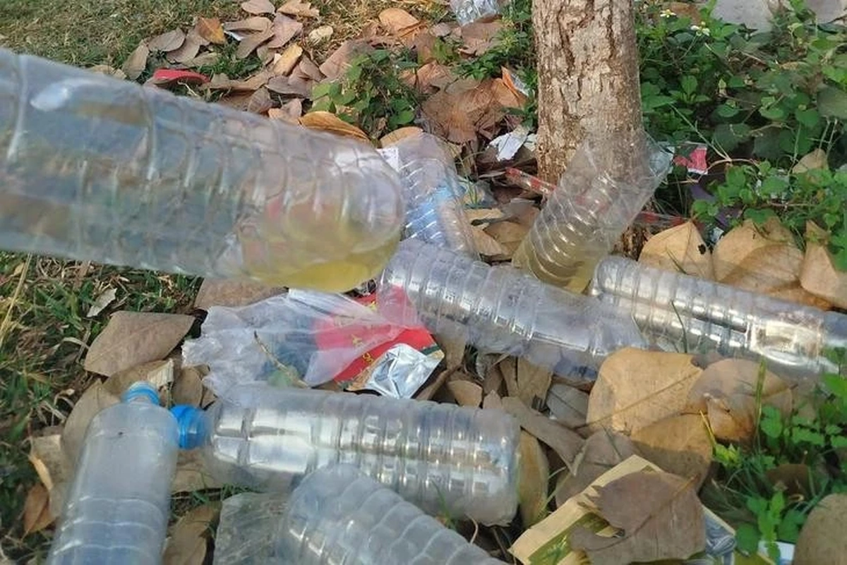 avatar1777161529662 17771615303291726520542.webp