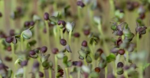 avatar1777181583719 17771815842431870351374 283 0 819 1024 crop 1777181679287606237002