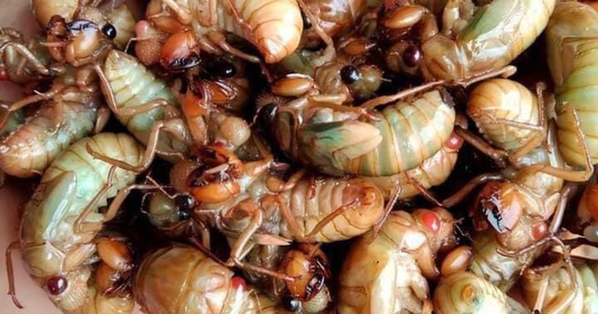 avatar1777196670838 17771966713862059462268