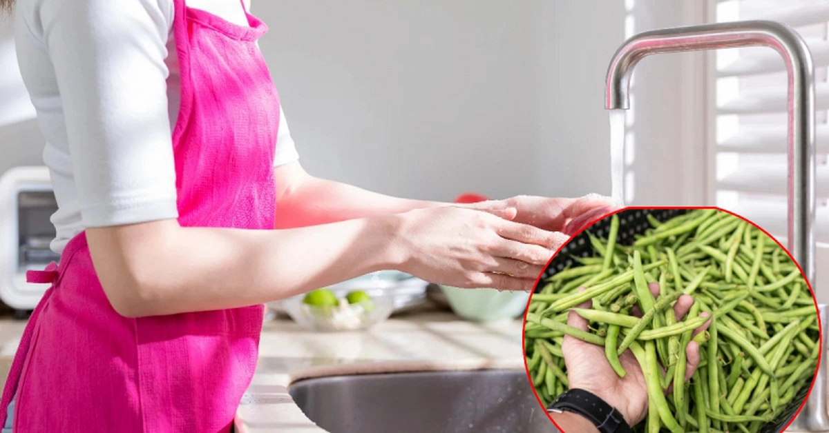 avatar1777206957247 1777206957782814388599