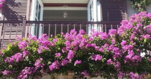 avatar1777250705550 17772507060941353613610