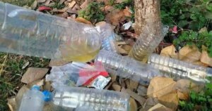 avatar1777260873595 17772608741411064474680