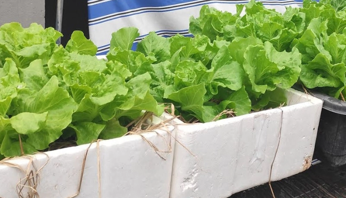 avatar1777273900303 1777273908608617428461