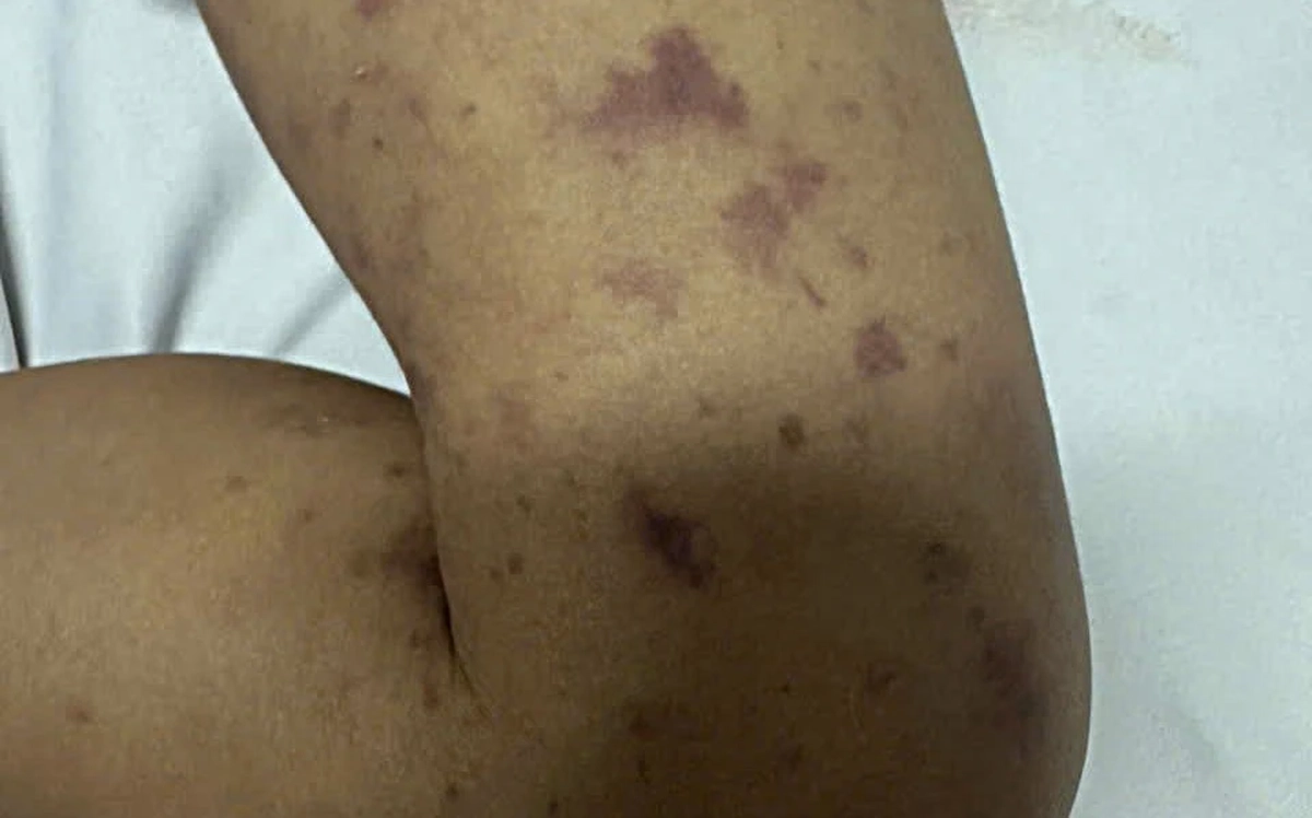 avatar1777331486065 1777331486479795145316.webp