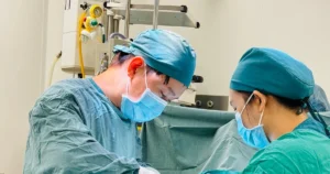 avatar1777356533193 17773565335541666352193.webp