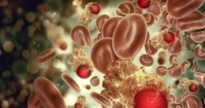 avatar1777359374479 1777359374773408971586