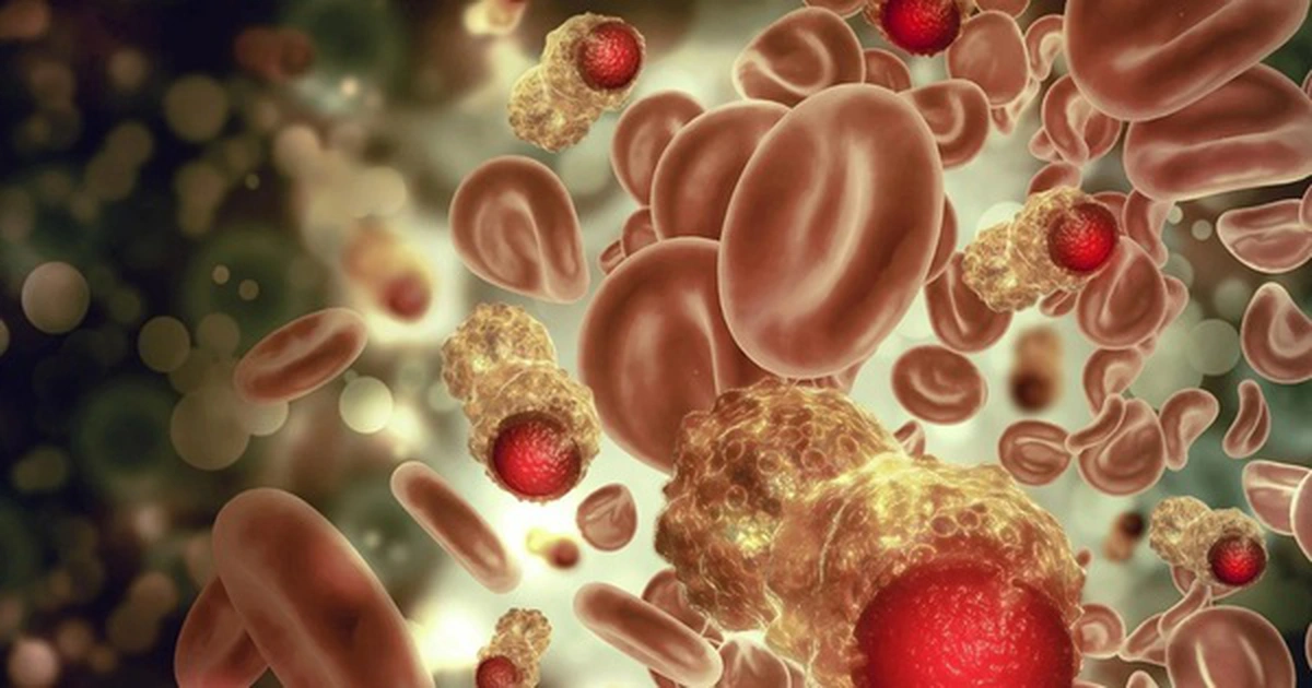 avatar1777359374479 1777359374773408971586