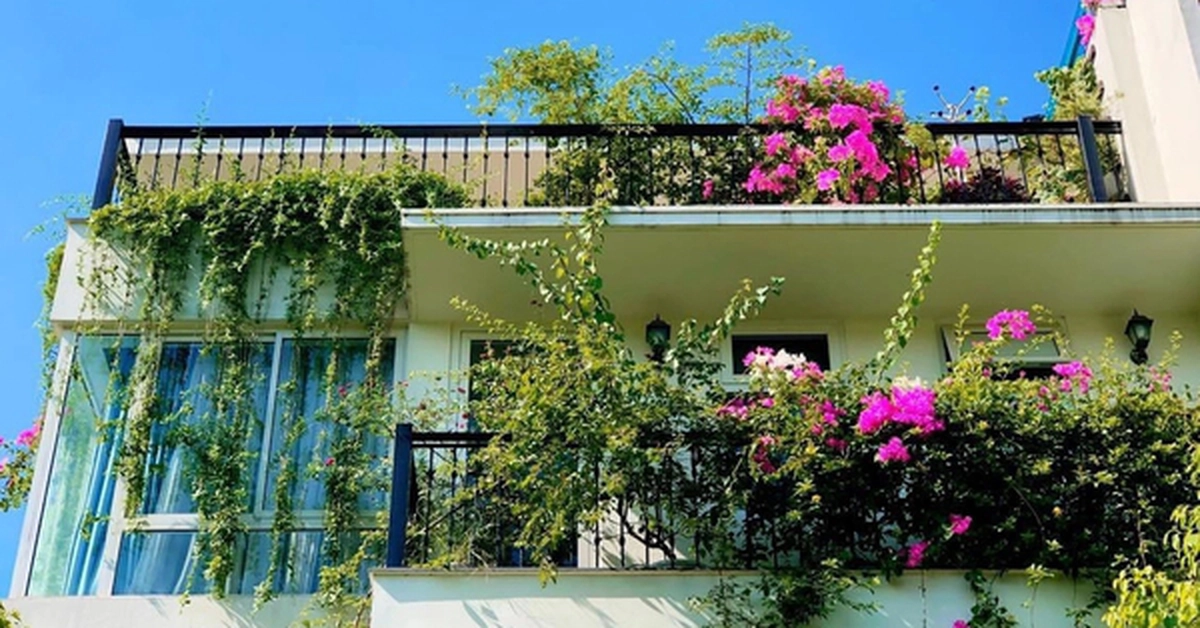 avatar1777363568488 17773635690481138337924 0 0 314 600 crop 17773636063701810254616