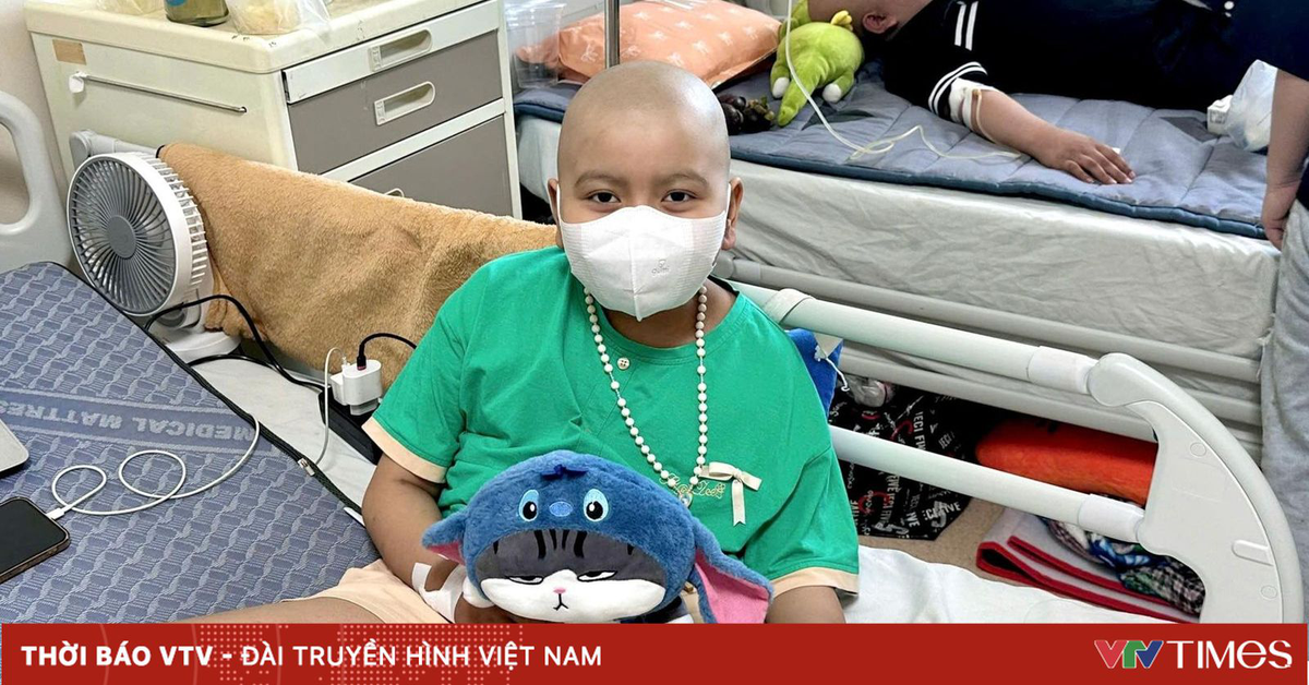 avatar1777433765144 17774337653552124332591