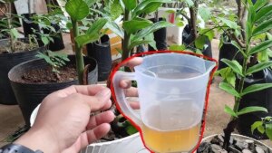 avatar1777434810412 1777434810645935037624