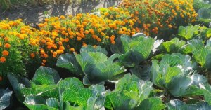 avatar1777435881177 17774358815261237813685 0 0 733 1400 crop 177743595073279153260