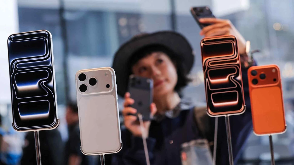 avatar1777447757358 17774477576401384126193