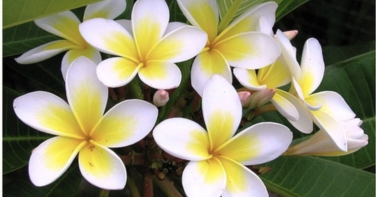 avatar1777452798697 17774528001941601562224