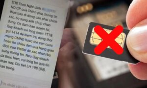 avatar1777554908178 1777554909180536553394