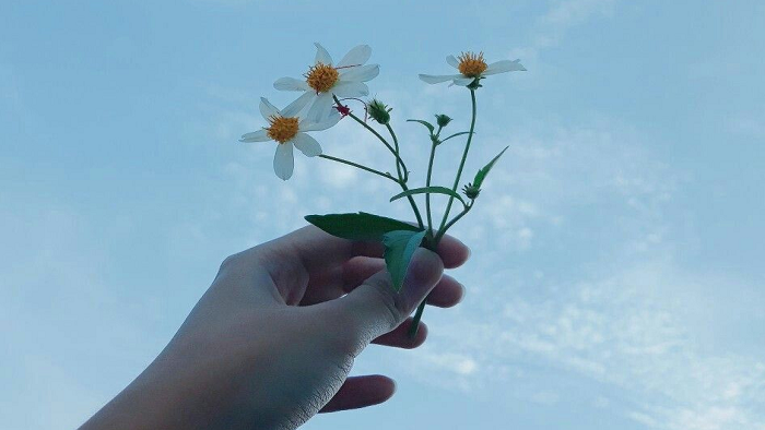 b508ad60174ee17b87ad26600e2c4e7d anh