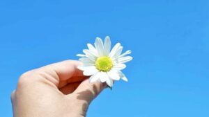 ba058c9b896debb0297a14599497ed19 hinh anh tay cam hoa va bau troi lang man 3 22 10 49 32