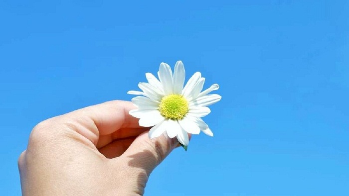 ba058c9b896debb0297a14599497ed19 hinh anh tay cam hoa va bau troi lang man 3 22 10 49 32