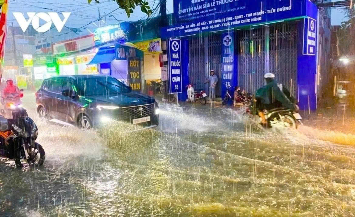 bac bo mua dong