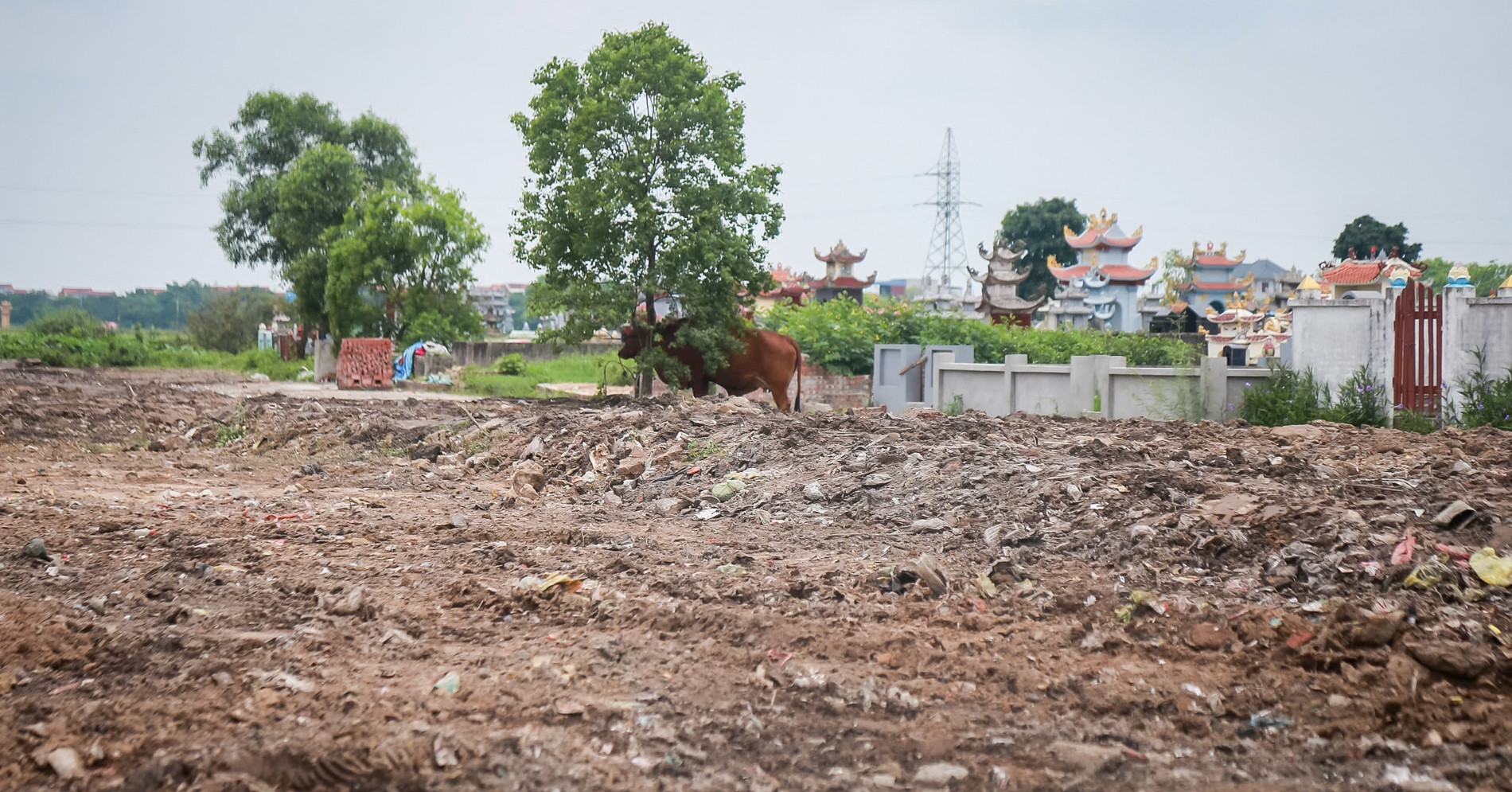 bai rac tu phat 20 nam sat nghia trang o ninh binh da duoc don dep 1560