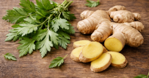 bai thuoc ngai cuu 17725069550131339866397 43 0 1003 1536 crop 17725070508561757287083