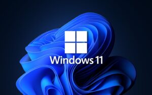 ban cap nhat windows 11 gay man hinh xanh