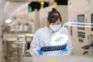 Ban Dan Vietnam 2608