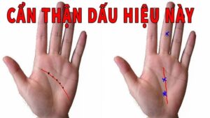 Bàn tay có 4 nét tướng này dù tài ba tới mấy cũng khó thoát nghèo 1 ban tay co 4 net tuong nay du tai ba toi may cung kho thoat ngheo 171115