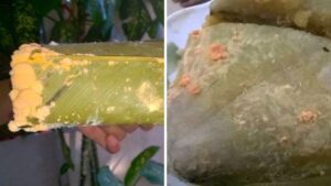 banh chung bi moc mot goc cat di an tiep co hai gi khong 220527