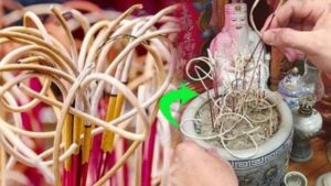 Bao Sái Bàn Thờ, Rút Tỉa Chân Nhang: Tránh Ngay 2 Khung Giờ Xấu Kẻo Phạm Điều Kiêng Kỵ Với Tổ Tiên Bao Sai Ban Tho Rut Tia Chan Nhang Tranh Ngay 2 Khung Gio Xau Keo Pham Dieu Kieng Ky Voi To Tien 202