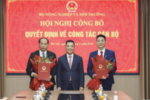 baonnmt bo nhiem cvp 6