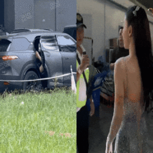 Bat Gap Toc Tien Hau Thong Bao Ly Hon Van Giu 1 Thoi Quen Lien Quan Den Touliver Ca4761E944184E64841